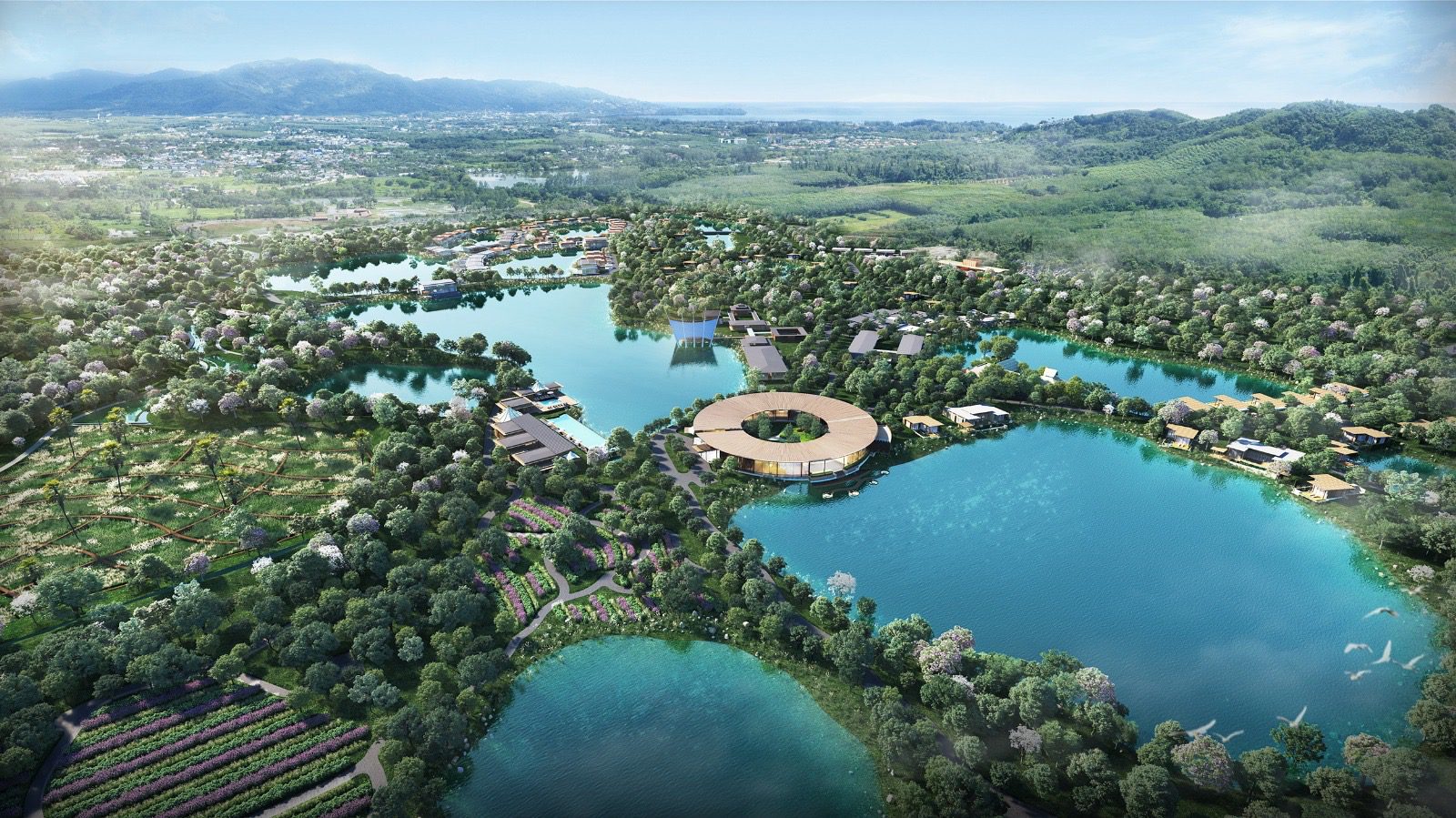 Земля на вес золота: как Пхукет платит за свою популярность